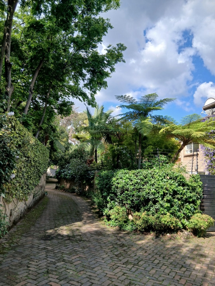 To Let 3 Bedroom Property for Rent in Illovo Gauteng