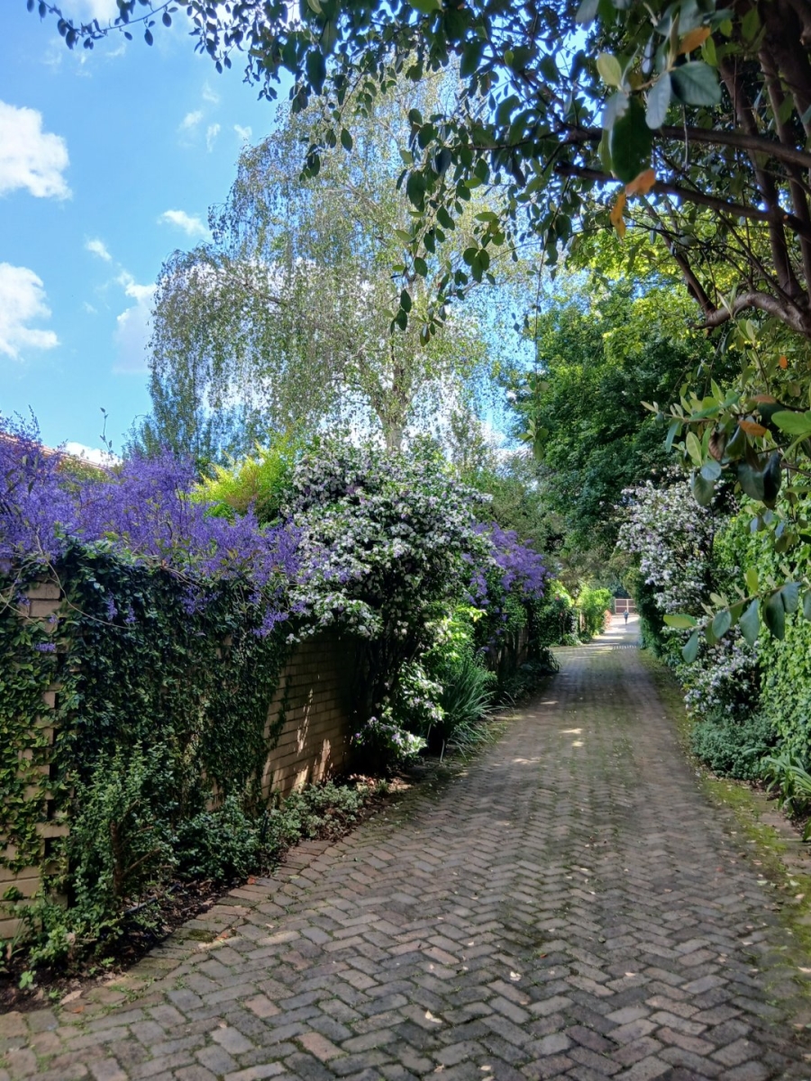 To Let 3 Bedroom Property for Rent in Illovo Gauteng
