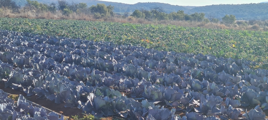 Commercial Property for Sale in Magaliesburg Gauteng