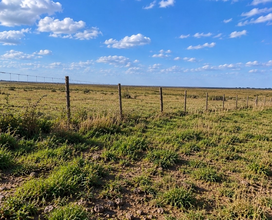 Commercial Property for Sale in Heidelberg A H Gauteng