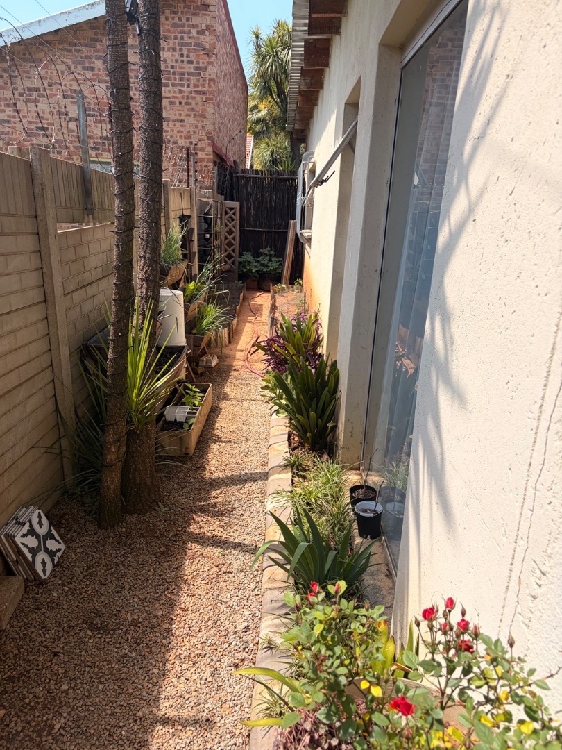 To Let 1 Bedroom Property for Rent in Rynfield Gauteng