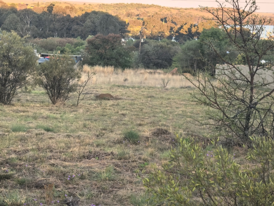 Commercial Property for Sale in Vaal Marina Gauteng