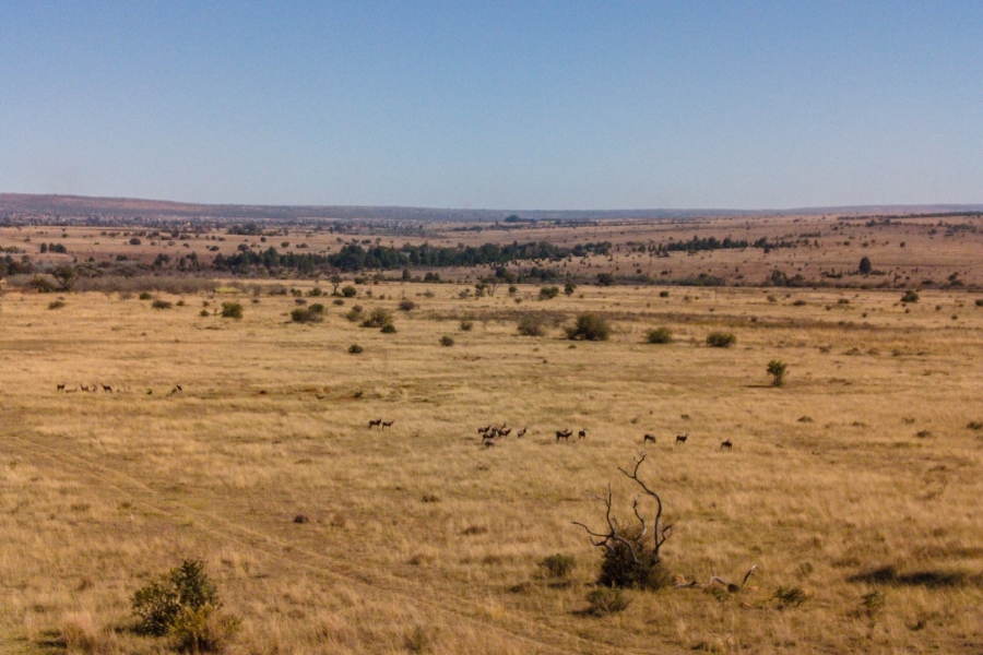 Commercial Property for Sale in Fairfield Gauteng