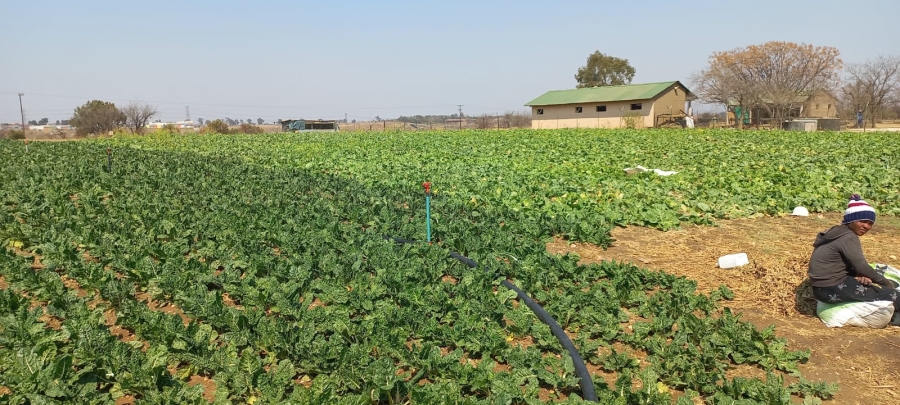 Commercial Property for Sale in Centurion Central Gauteng