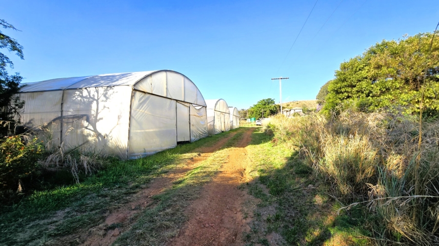 Commercial Property for Sale in Donkerhoek AH Gauteng