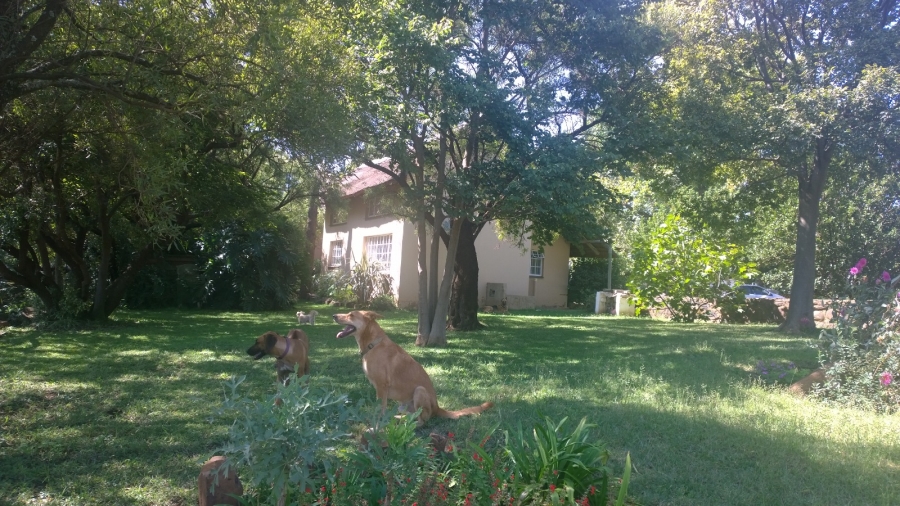 Commercial Property for Sale in Knopjeslaagte Gauteng
