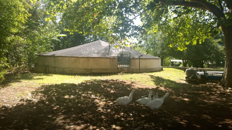 Commercial Property for Sale in Knopjeslaagte Gauteng