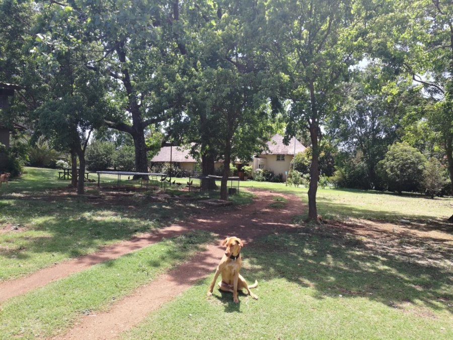 Commercial Property for Sale in Knopjeslaagte Gauteng