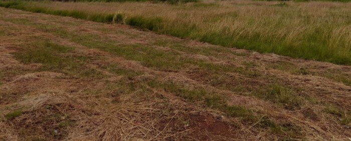 Commercial Property for Sale in Welgedag A H Gauteng