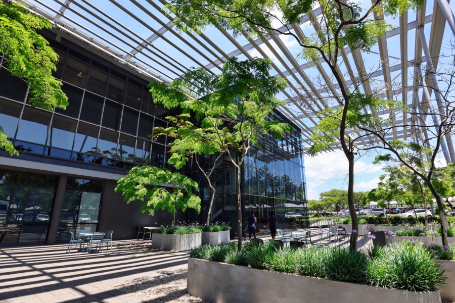 To Let Commercial Property for Rent in Woodmead Gauteng