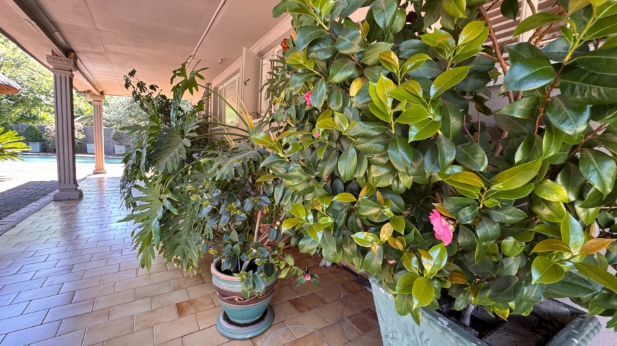 4 Bedroom Property for Sale in Three Rivers East Gauteng