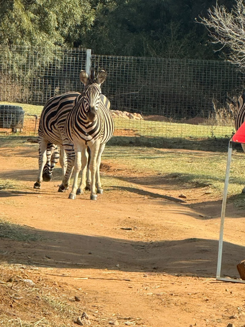  Bedroom Property for Sale in Roodepark Eco Estate Gauteng