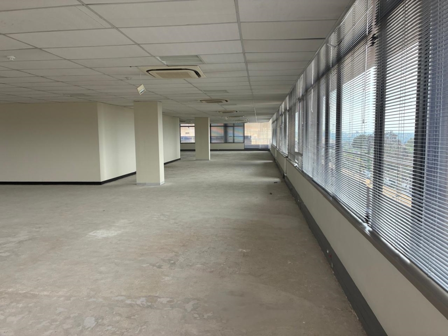To Let Commercial Property for Rent in Parktown Gauteng