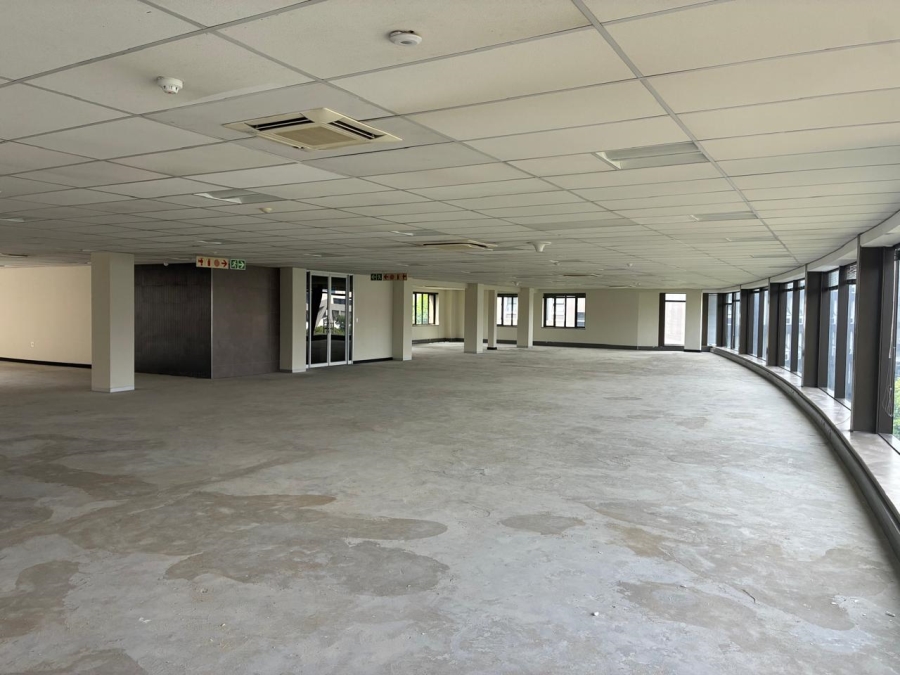 To Let Commercial Property for Rent in Parktown Gauteng