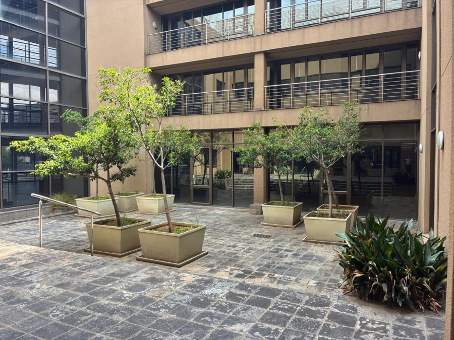 To Let Commercial Property for Rent in Parktown Gauteng