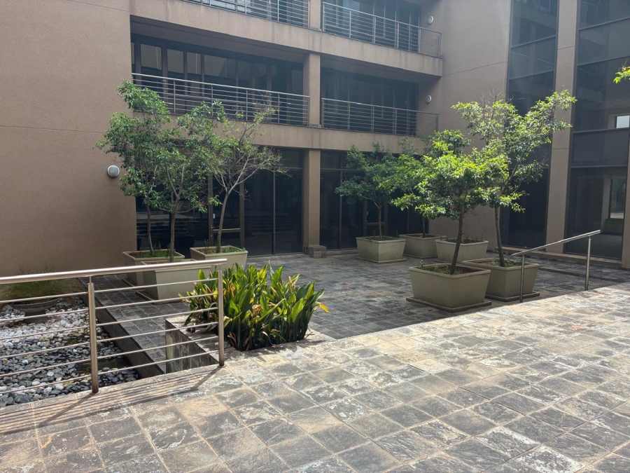 To Let Commercial Property for Rent in Parktown Gauteng