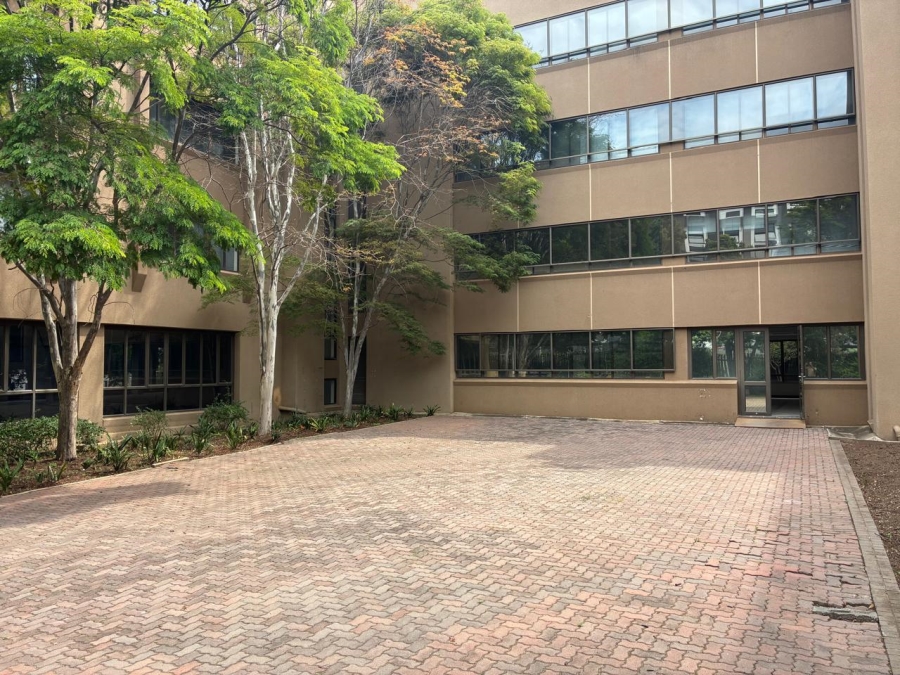 To Let Commercial Property for Rent in Parktown Gauteng