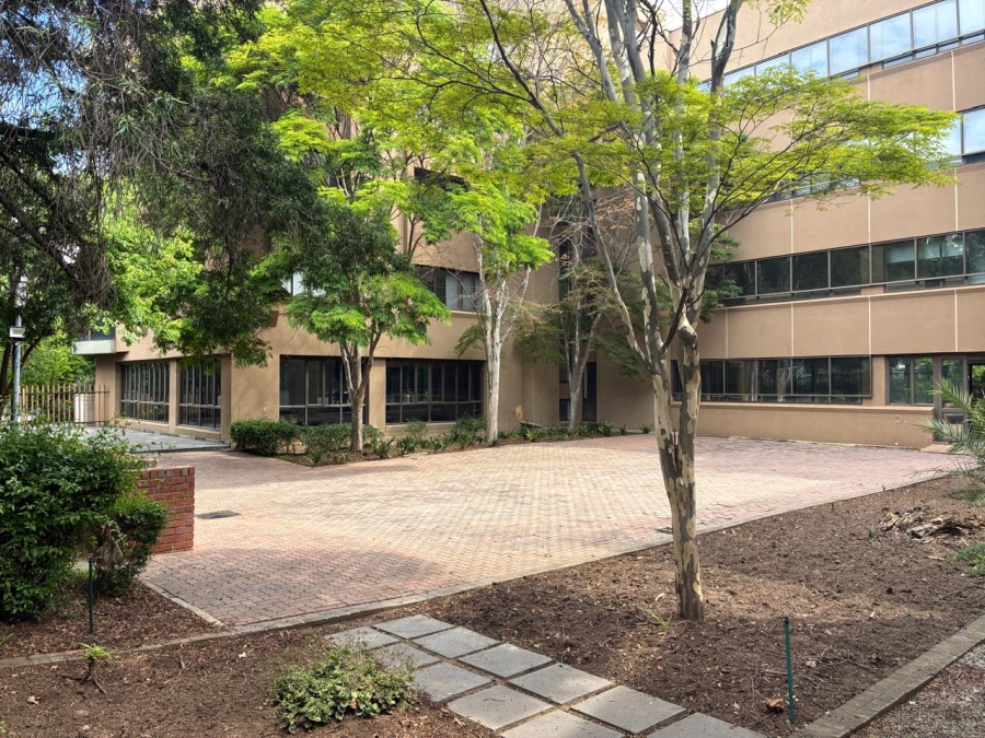 To Let Commercial Property for Rent in Parktown Gauteng