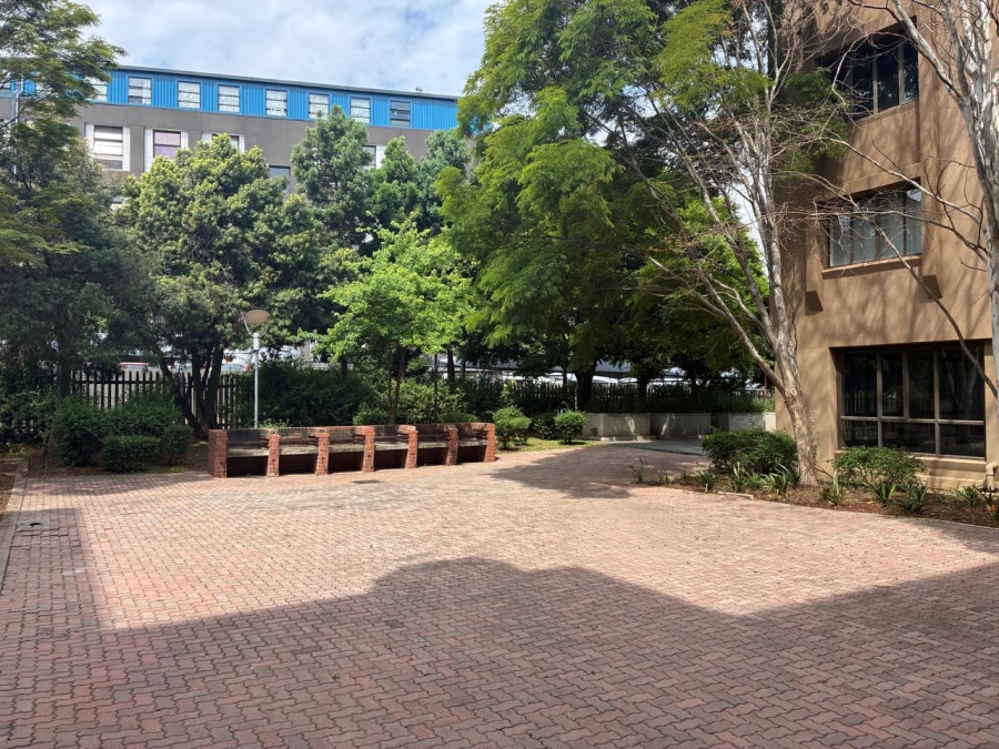 To Let Commercial Property for Rent in Parktown Gauteng