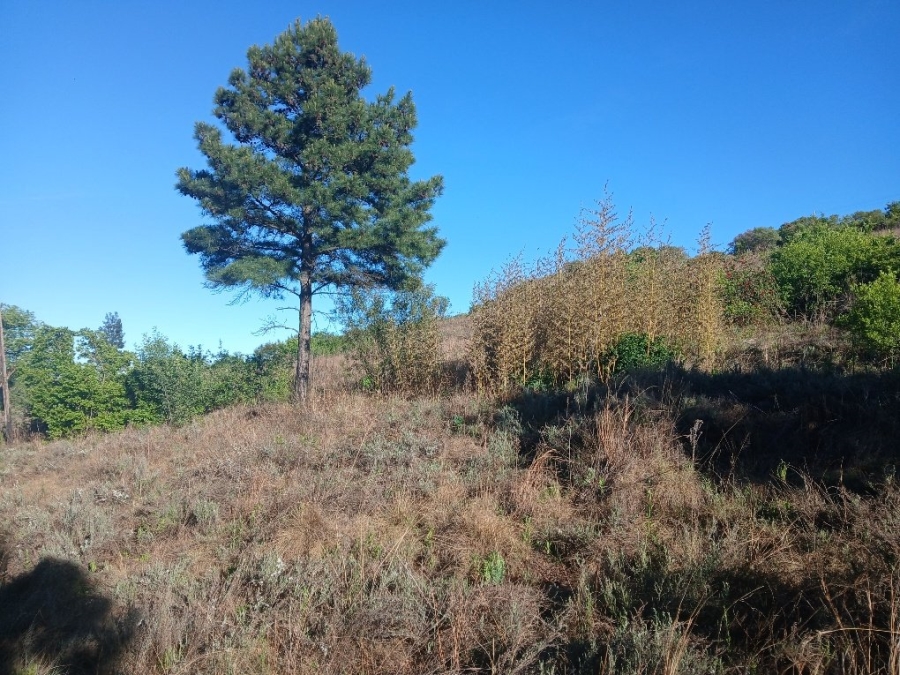 Commercial Property for Sale in Vaaloewer Gauteng