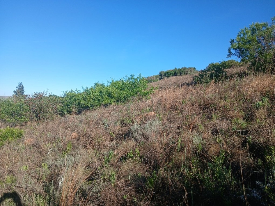 Commercial Property for Sale in Vaaloewer Gauteng
