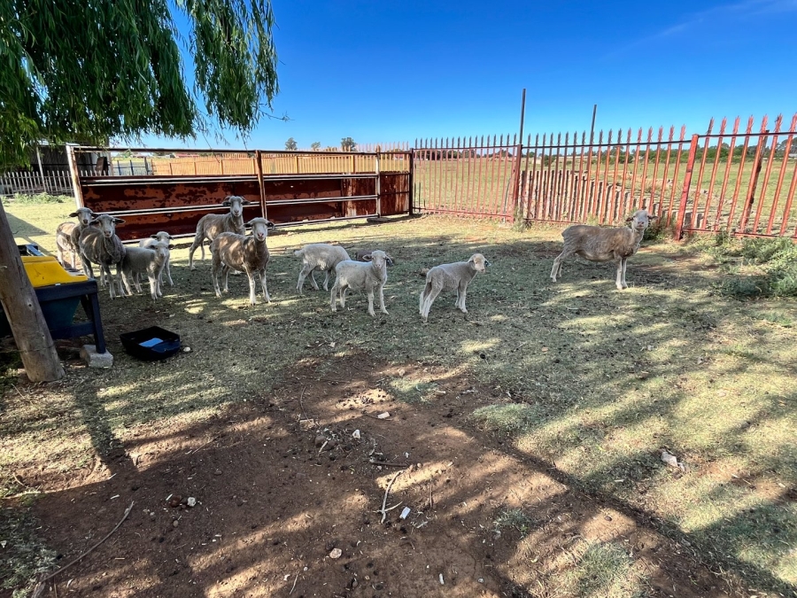 Commercial Property for Sale in Rosashof Gauteng