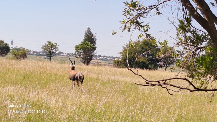 Commercial Property for Sale in Doornrandje Gauteng