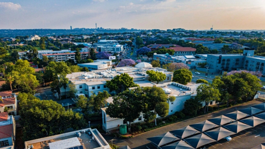 To Let Commercial Property for Rent in Illovo Gauteng