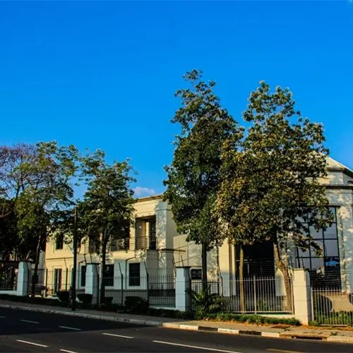 To Let Commercial Property for Rent in Illovo Gauteng