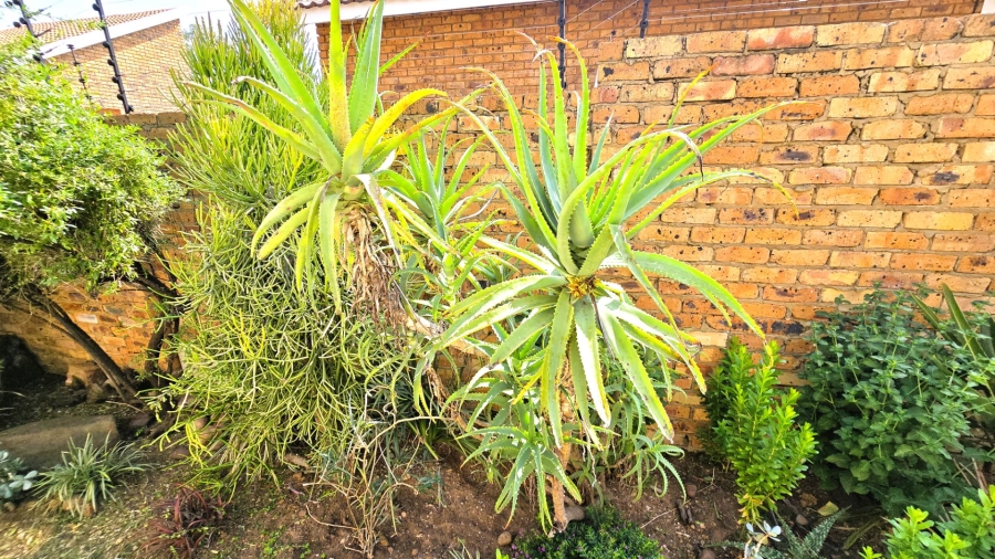 3 Bedroom Property for Sale in Cullinan Gauteng