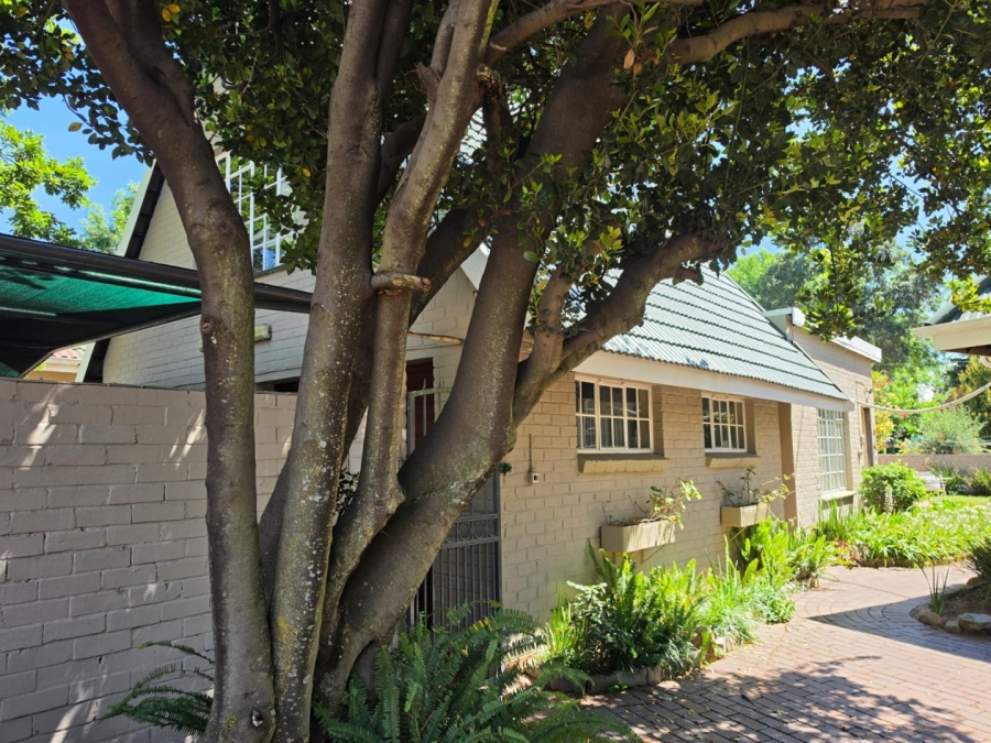To Let 4 Bedroom Property for Rent in Rynfield Gauteng