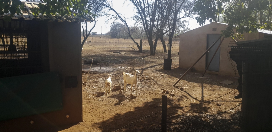 3 Bedroom Property for Sale in Pretoria North Gauteng