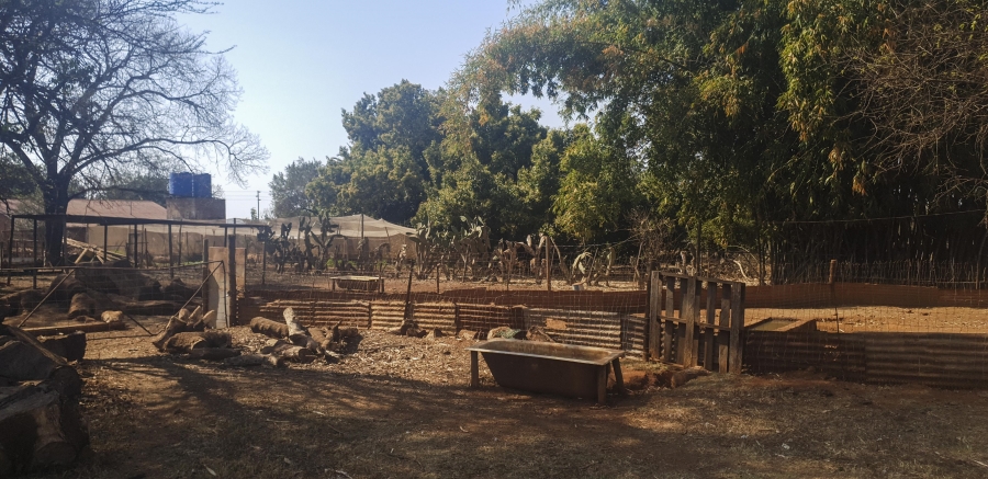 3 Bedroom Property for Sale in Pretoria North Gauteng