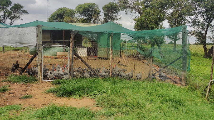 6 Bedroom Property for Sale in Vaalbank Gauteng