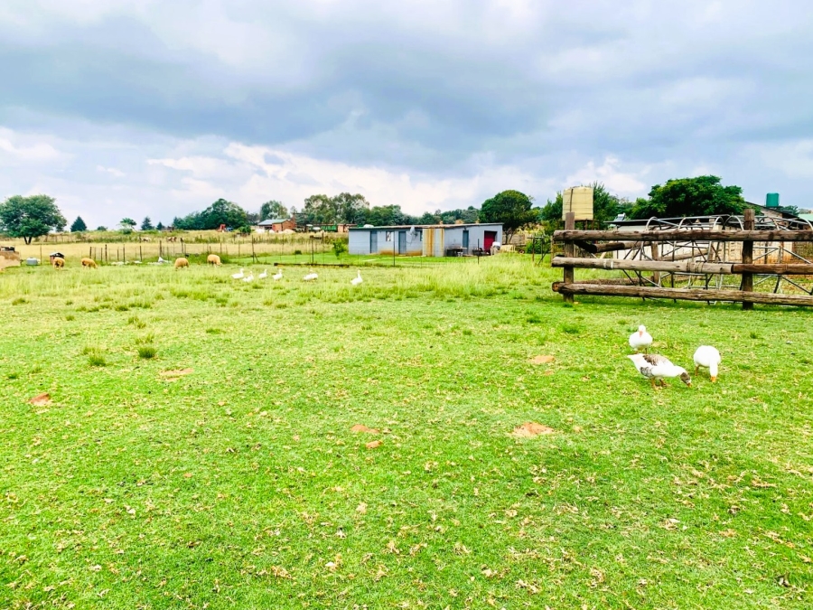 3 Bedroom Property for Sale in Bothas Geluk Gauteng