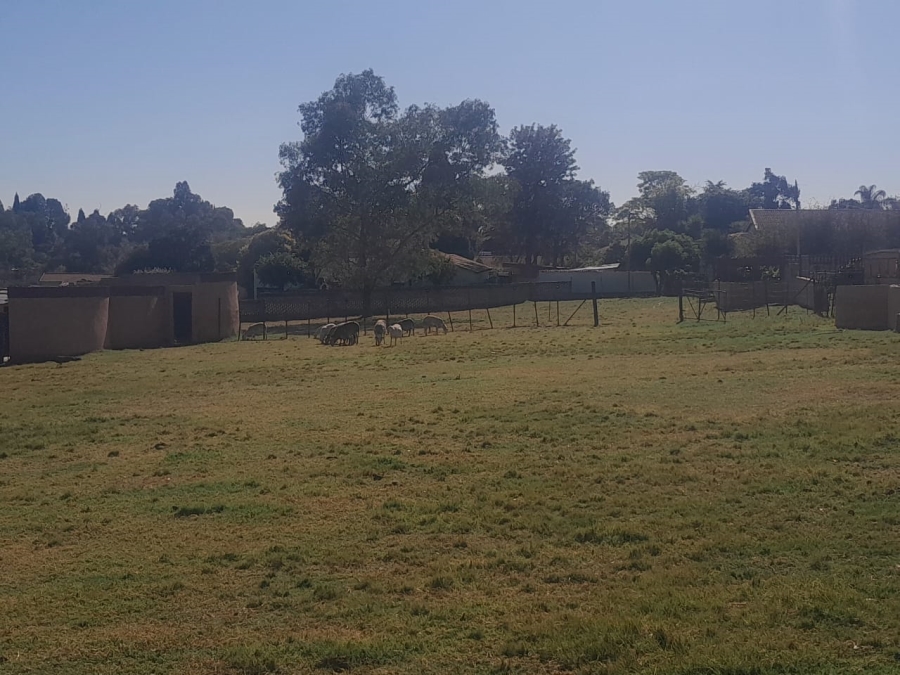 To Let 3 Bedroom Property for Rent in Randpark Ridge Gauteng