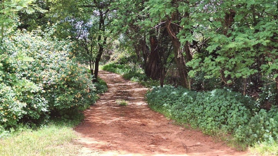 4 Bedroom Property for Sale in Montana Park Gauteng