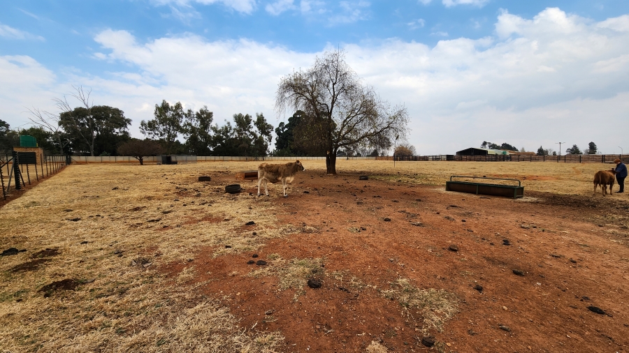 4 Bedroom Property for Sale in Heidelberg A H Gauteng