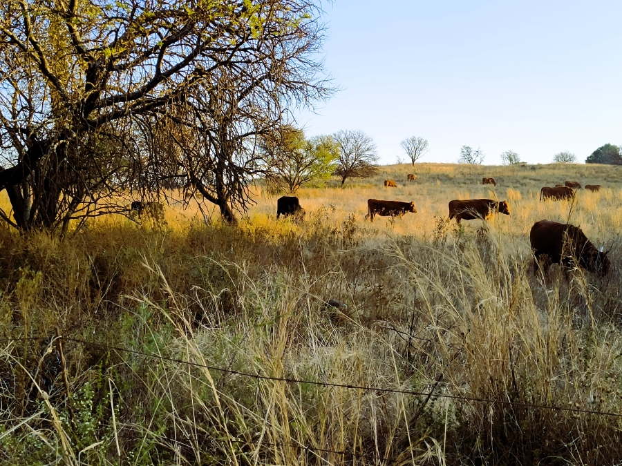 7 Bedroom Property for Sale in Bashewa A H Gauteng