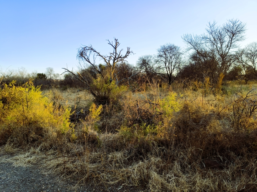 7 Bedroom Property for Sale in Bashewa A H Gauteng