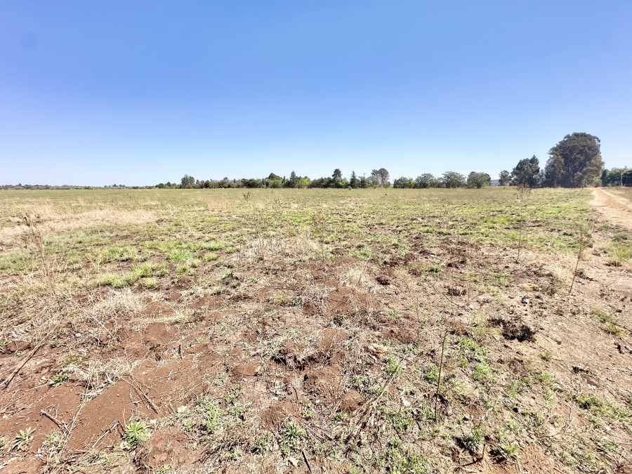 0 Bedroom Property for Sale in Knoppieslaagte Gauteng