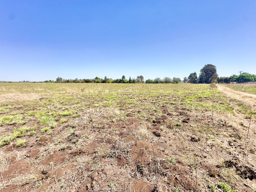 0 Bedroom Property for Sale in Knoppieslaagte Gauteng