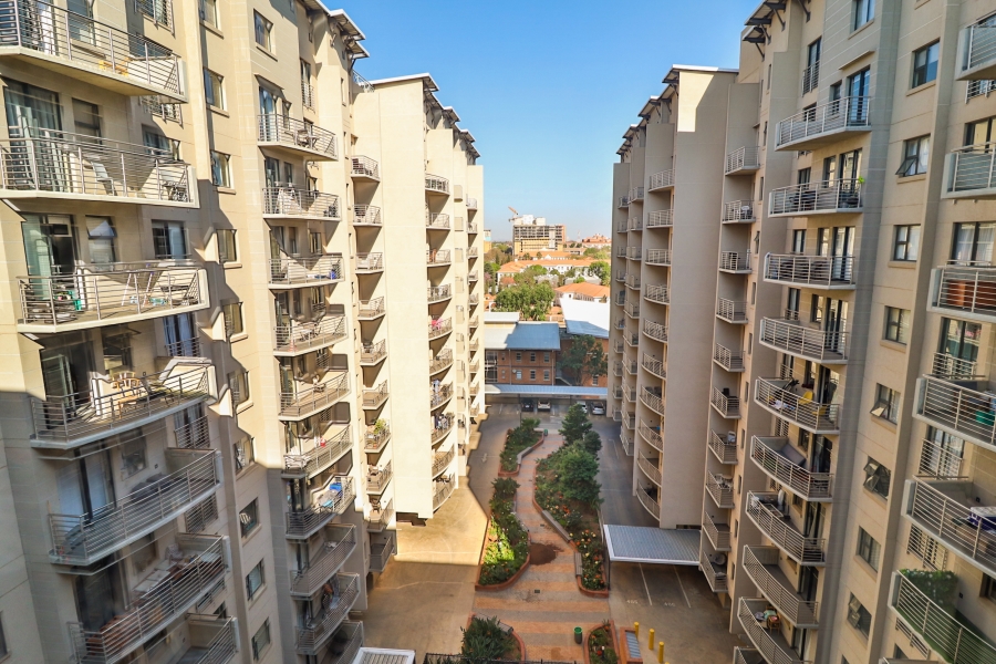 To Let 0 Bedroom Property for Rent in Hatfield Gauteng