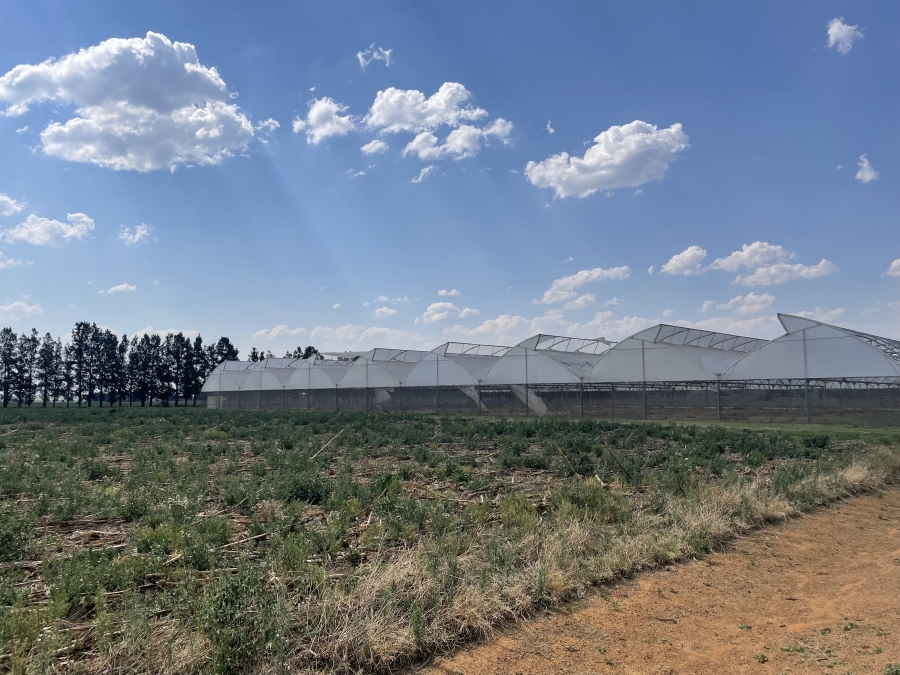 Commercial Property for Sale in Rietfontein AH Gauteng