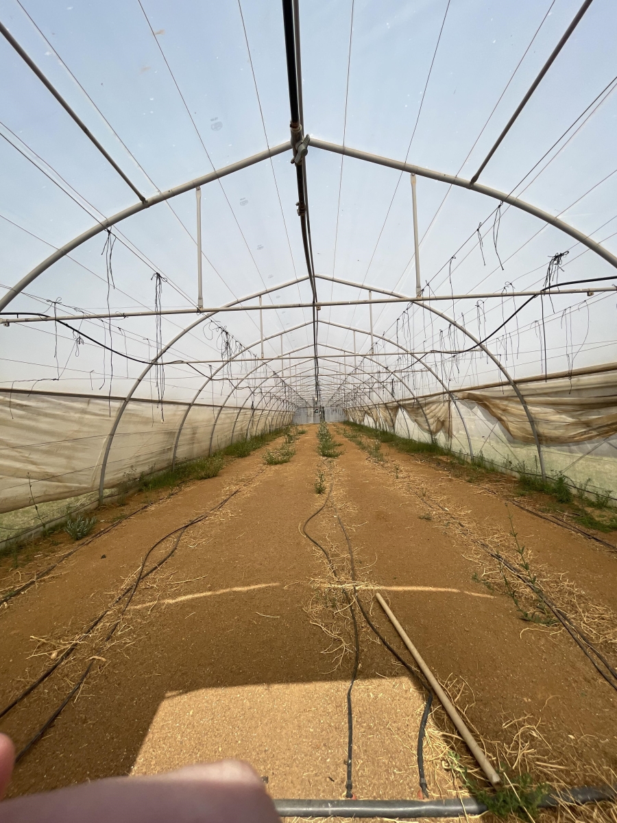 Commercial Property for Sale in Rietfontein AH Gauteng