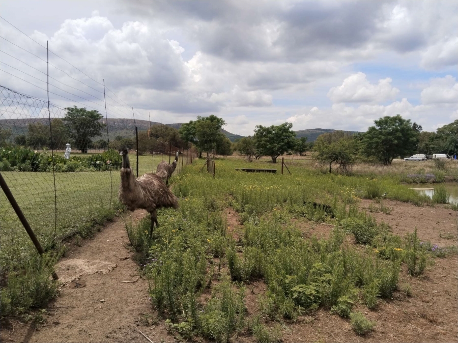 4 Bedroom Property for Sale in Swacina Park A H Gauteng