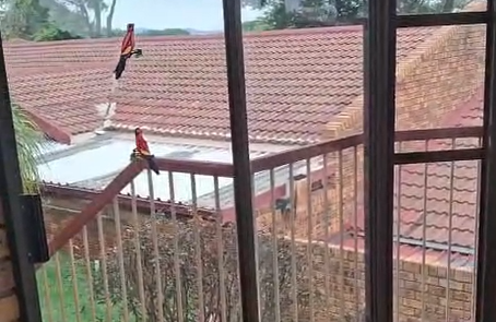 2 Bedroom Property for Sale in Amandasig Gauteng