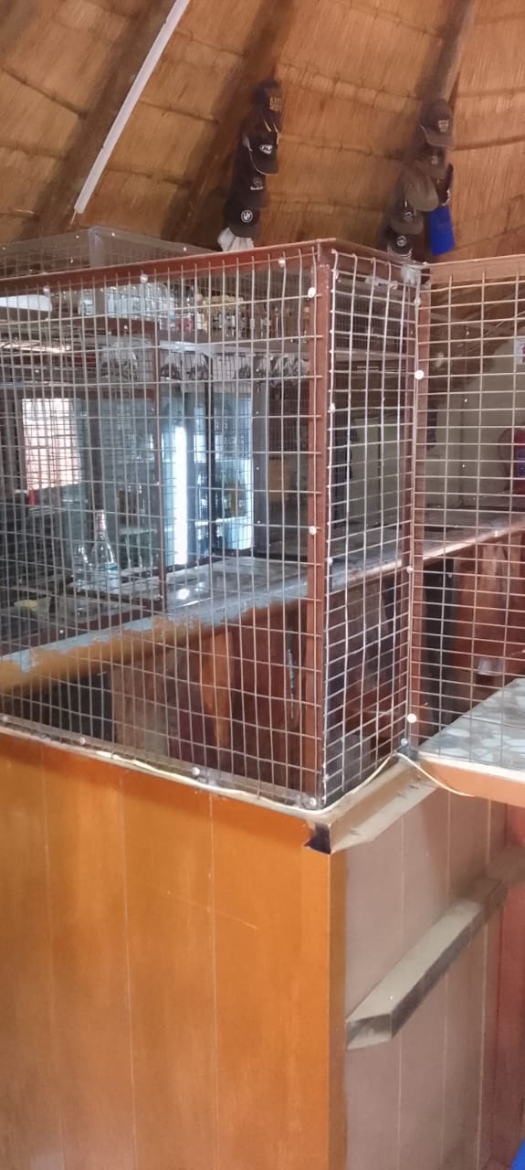 3 Bedroom Property for Sale in Tenacre A H Gauteng