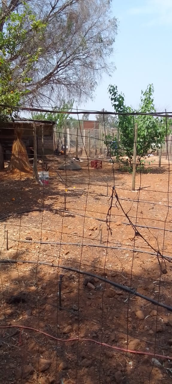 3 Bedroom Property for Sale in Tenacre A H Gauteng