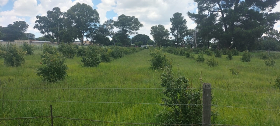 4 Bedroom Property for Sale in Loumarina A H Gauteng